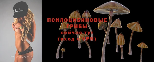 ПСИЛОЦИБИНОВЫЕ ГРИБЫ Нефтегорск