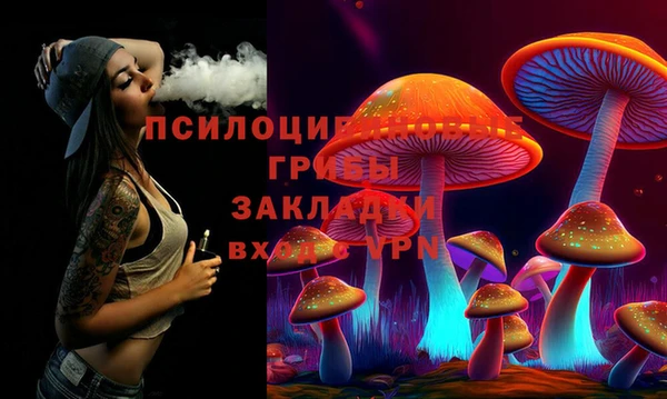 ПСИЛОЦИБИНОВЫЕ ГРИБЫ Нефтегорск