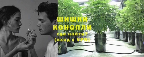 ПСИЛОЦИБИНОВЫЕ ГРИБЫ Нефтегорск